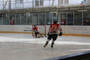 hockeymatch_15_14.jpg