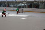 hockeymatch_15_54.jpg
