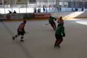 hockeymatch_15_60.jpg