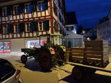 buelifaescht_25_002.jpg