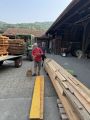 buelifaescht_25_010.jpg