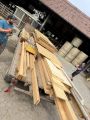 buelifaescht_25_014.jpg