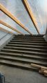 buelifaescht_25_022.jpg