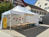 buelifaescht_25_041.jpg