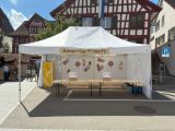 buelifaescht_25_042.jpg