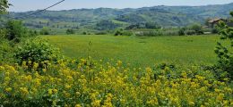 veloferien_25_156.jpg