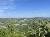 veloferien_26_19.jpg