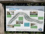 velotour_24_37.jpg